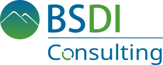 BSDI Consulting Logo