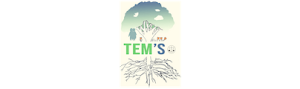 Tems